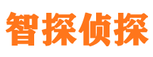 八宿市婚外情调查